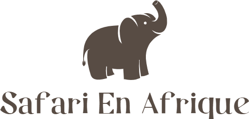 Safari En Afrique